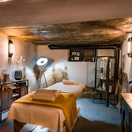 Thehotel At Lippischer Hof 4* באד זאלצפלן